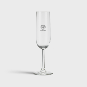 Kleine champagneglazen 17 cl