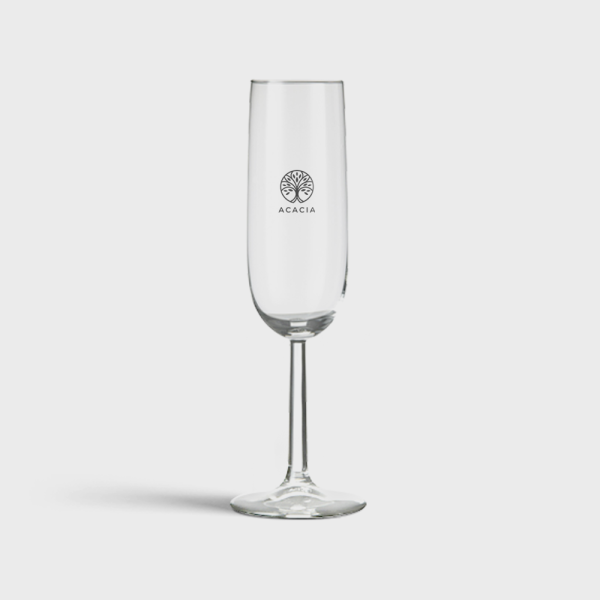 Kleine champagneglazen 17 cl